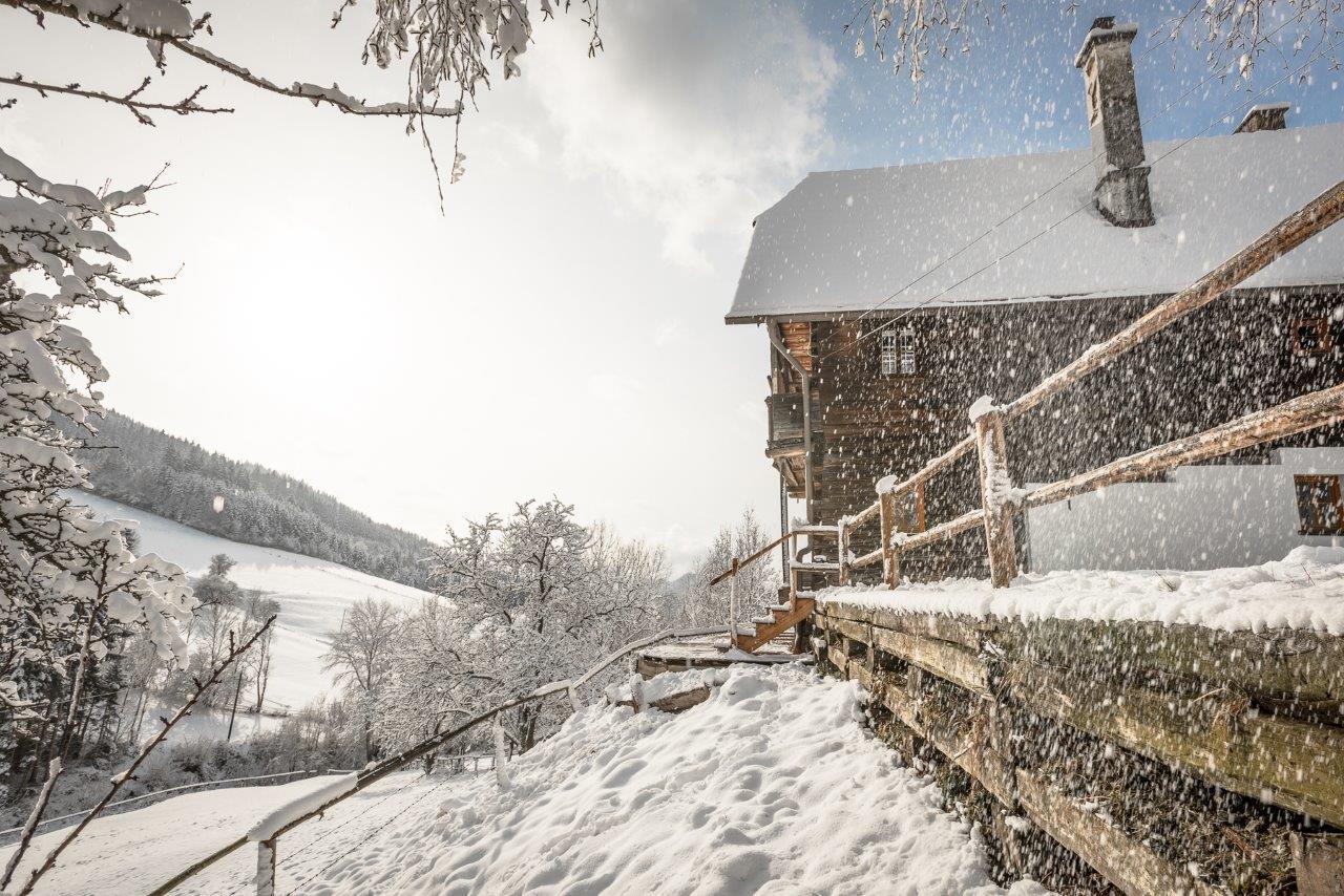 Urlaub Auf Der Alm "Deluxe" Villa Preggraben Ngoại thất bức ảnh