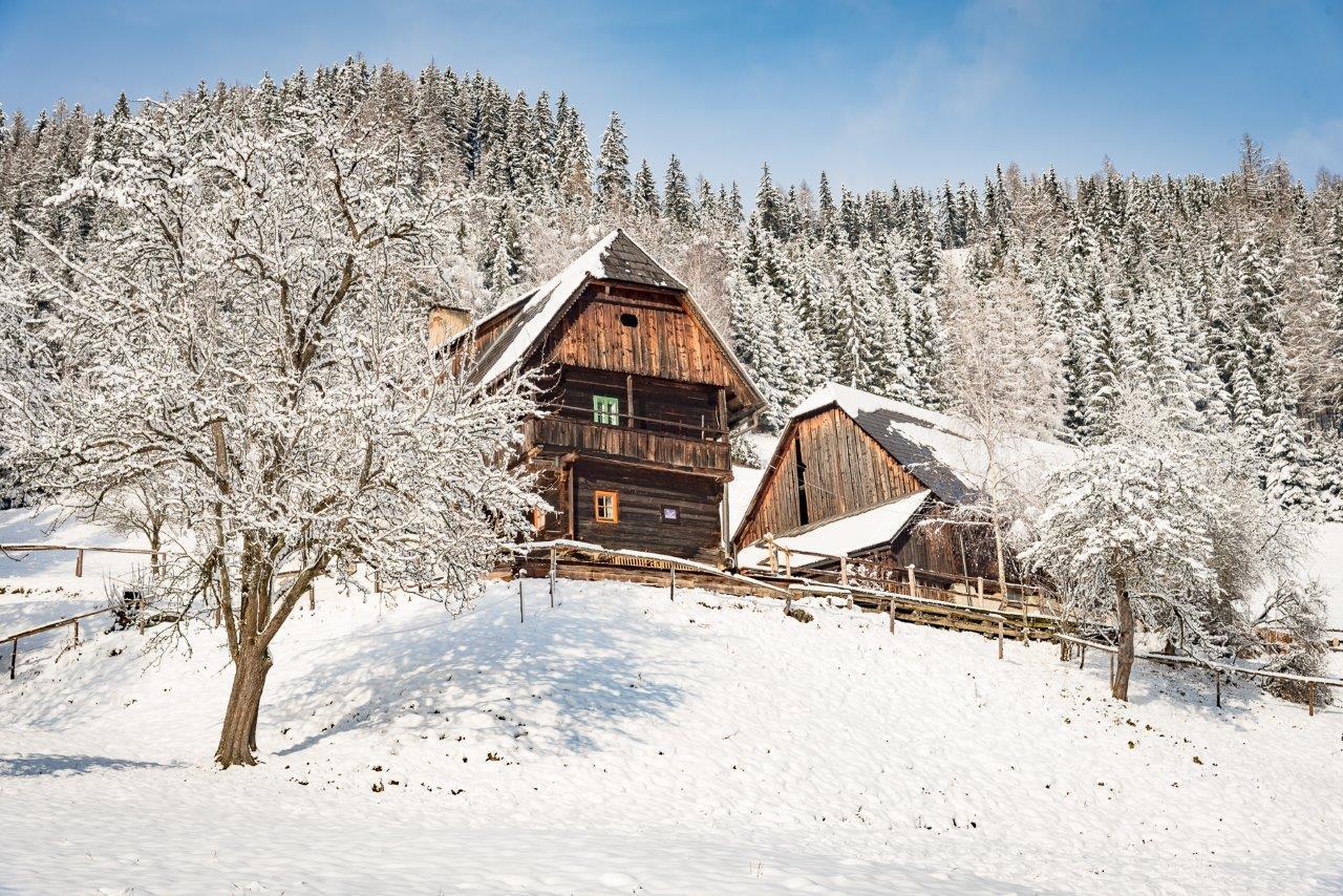 Urlaub Auf Der Alm "Deluxe" Villa Preggraben Ngoại thất bức ảnh