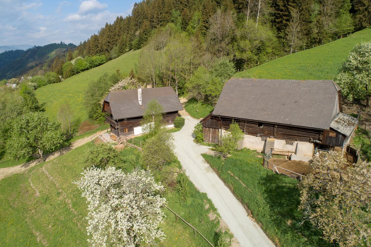 Urlaub Auf Der Alm "Deluxe" Villa Preggraben Ngoại thất bức ảnh